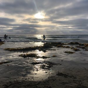 Meet your Posher, Sidney